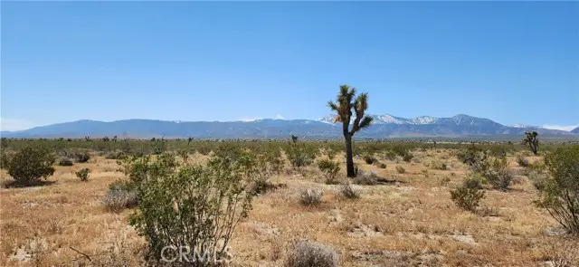 0 Vac/pb Hwy/vic 208th Ste, Llano, CA 93544 - Image #2