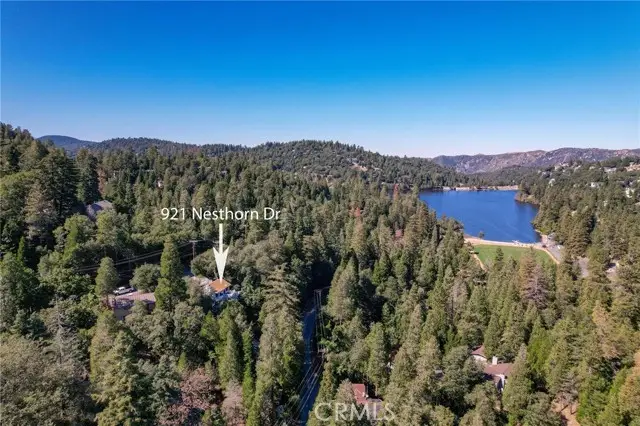 921 Nesthorn Drive, Crestline, CA 92325 - Image #3