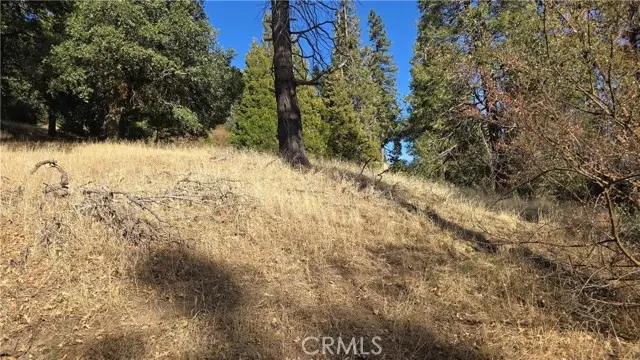 0 None, Cedarpines Park, CA 92322 - Image #2