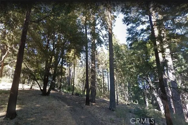 59 Mojave River Road, Cedarpines Park, CA 92322 - #1