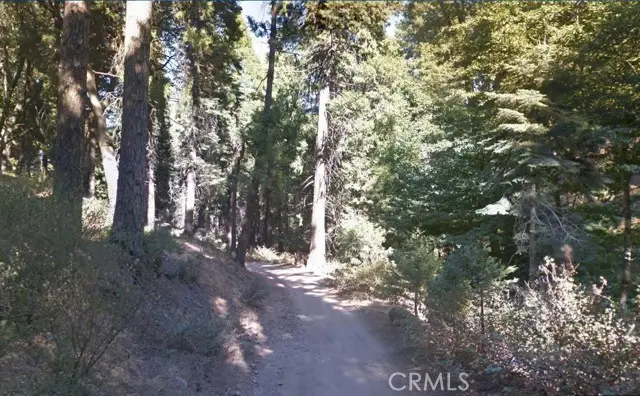 59 Mojave River Road, Cedarpines Park, CA 92322 - #2