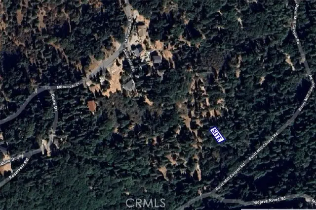 59 Mojave River Road, Cedarpines Park, CA 92322 - #3