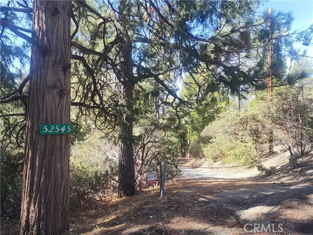 52547 Pine Cove Road, Idyllwild, CA 92549 - Image #1