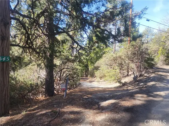 52547 Pine Cove Road, Idyllwild, CA 92549 - Image #2