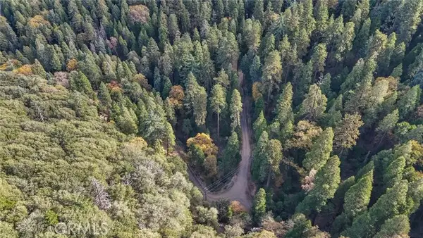 5 Deer Run Road, Cedarpines Park, CA 92322