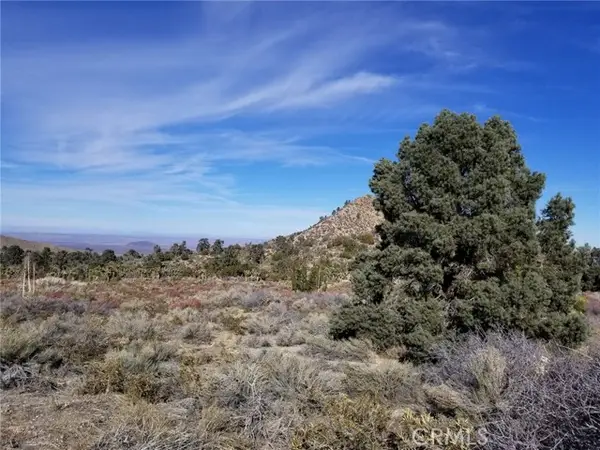 0 Vac/vic Avenue Z14/235 Ste, Llano, CA 93544