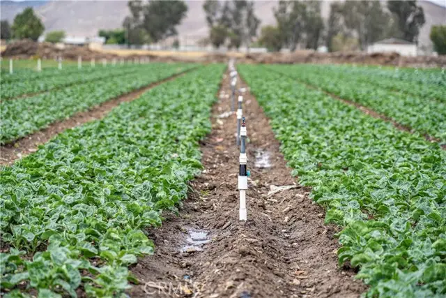 34250 Olive Avenue, Winchester, CA 92596 - Image #3