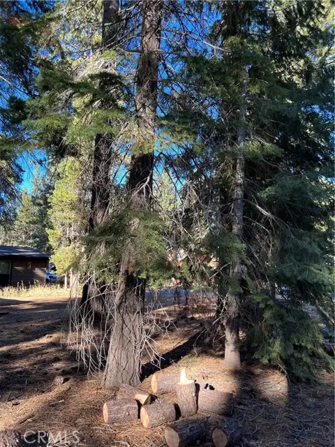 1124 Tata Lane, South Lake Tahoe, CA 96150 - Image #3