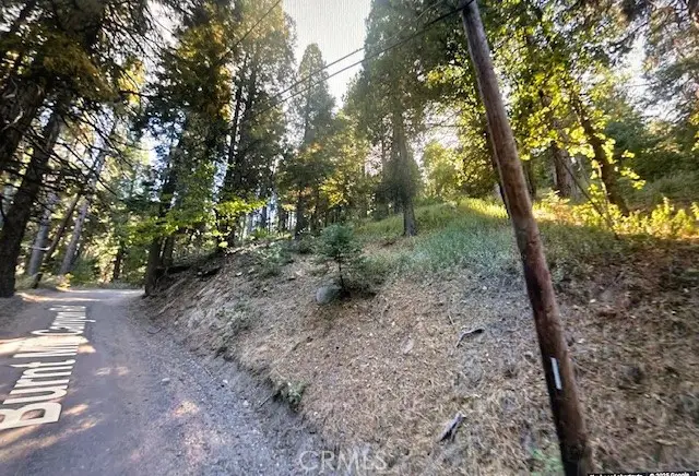 0 Burnt Mill Canyon #20 Road, Cedarpines Park, CA 92322 - Image #1