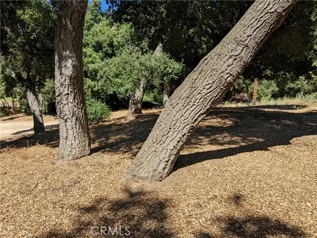 0 San Francisquito Cyn Road, Green Valley, CA 91350 - Image #1