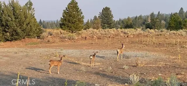 22 Eagle Drive, Alturas, CA 96101 - Image #3