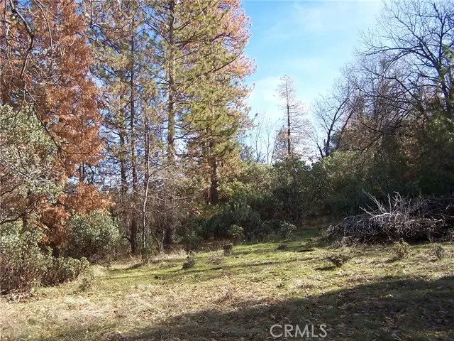 #2