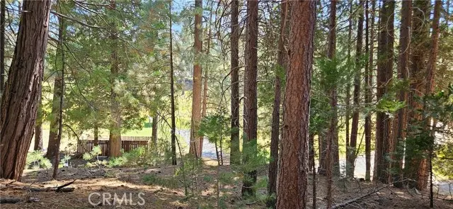 108 Forest Road, North Fork, CA 93643 - Image #2
