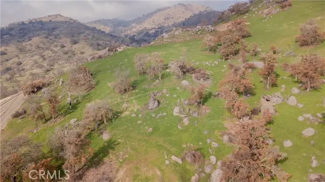 0 Pepperweed, Squaw Valley, CA 93675 - Image #3