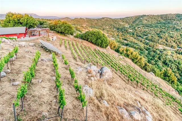 50806 Bramble Lane, Squaw Valley, CA 93675 - Image #3