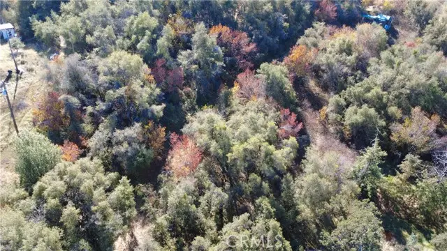 0 High Oaks, Squaw Valley, CA 93675 - #3