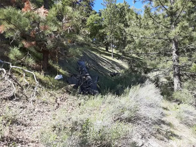 0 Interlaken, Tehachapi, CA 93581 - Image #3