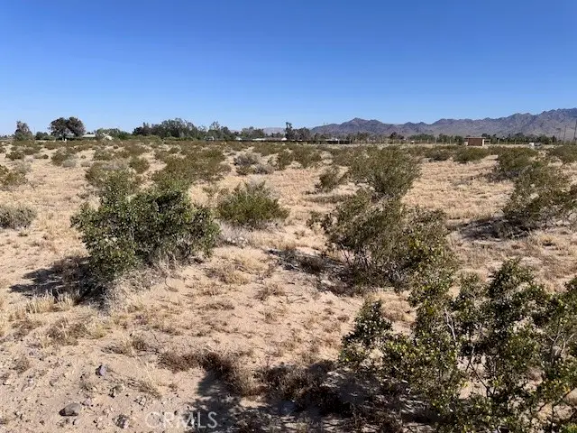 0 Manatee, Newberry Springs, CA 92365 - Image #2
