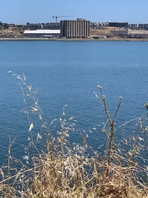 0 Alvarado Street, San Francisco, CA 94110 - Image #3