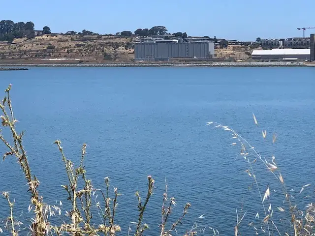 0 Hollister Avenue, San Francisco, CA 94124 - Image #2