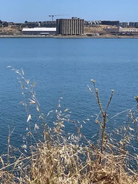 0 Hollister Avenue, San Francisco, CA 94124 - Image #3