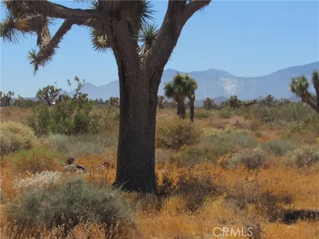 0 Goss Road, Phelan, CA 92371 - #1