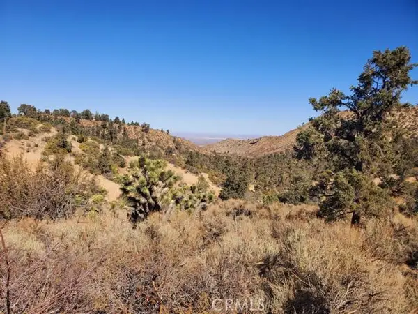 0 Old Valley Springs Road, Wrightwood, CA 92372