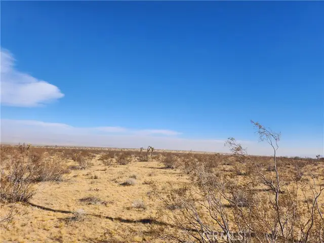 0 Ducor Avenue, Landers, CA 92285 - Image #2