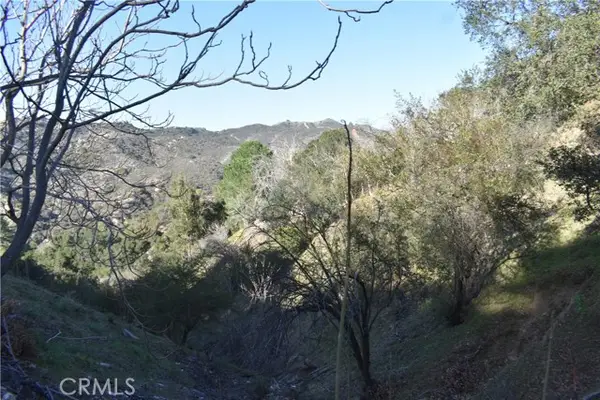 29935 Hickory Dr, Cedar Glen, CA 92321