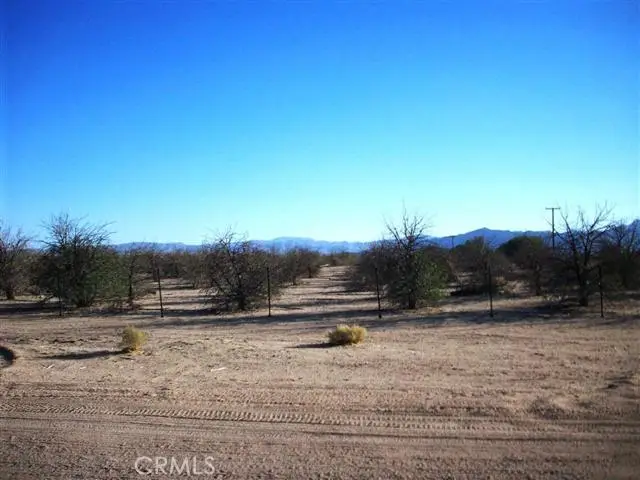 45527 Twin Lakes Drive, Newberry Springs, CA 92365 - Image #1
