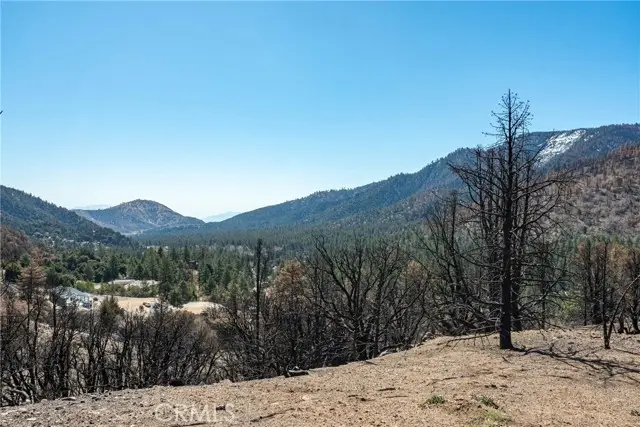 0 North Cardinal Rd, Wrightwood, CA 92397 - Image #1