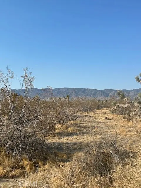 #3