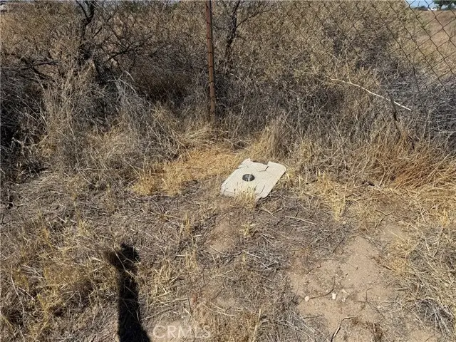 9875 Braceo Street, Oak Hills, CA 92344 - Image #2