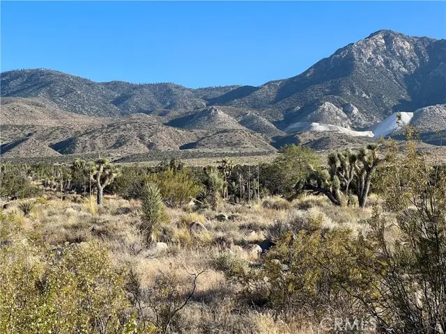 776 Silver Creek Canyon (near) Road, Lucerne Valley, CA 92356 - Image #2