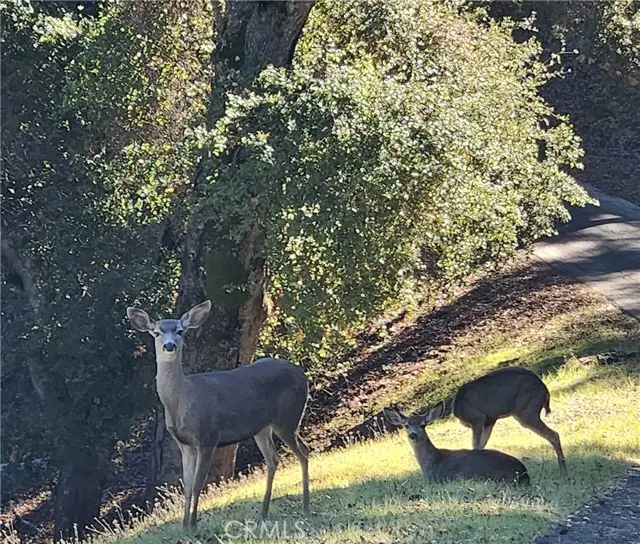 2155 San Fernando, Atascadero, CA 93422 - #1