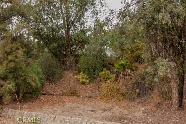 0 Campbell Avenue, Redlands, CA 92373 - Image #3