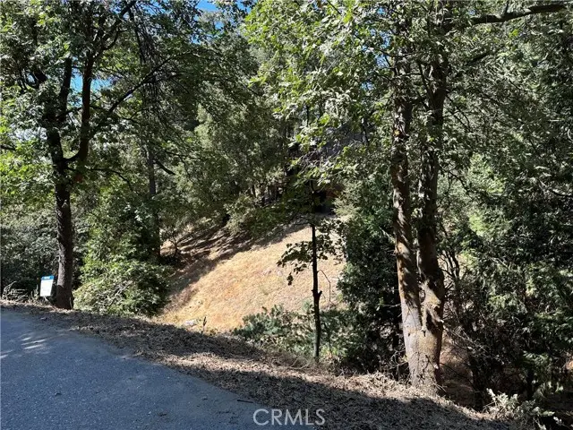 24960 Saxon Drive, Crestline, CA 92325 - #1