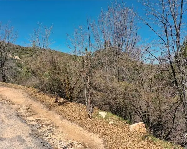 185 Acacia Road, Cedar Glen, CA 92321