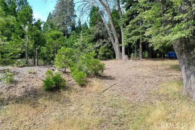 399 Cedar Ridge Drive, Lake Arrowhead, CA 92352 - Image #2