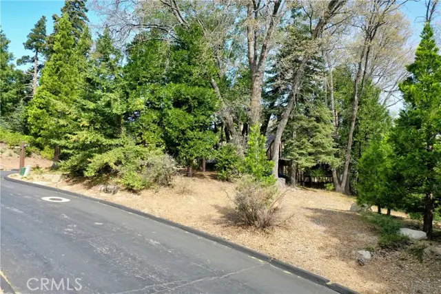 399 Cedar Ridge Drive, Lake Arrowhead, CA 92352 - Image #3