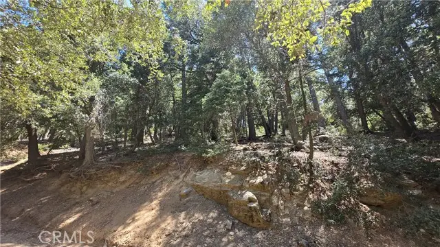 #3