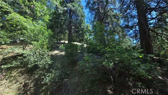 22494 Mojave River Road, Cedarpines Park, CA 92322 - Image #1