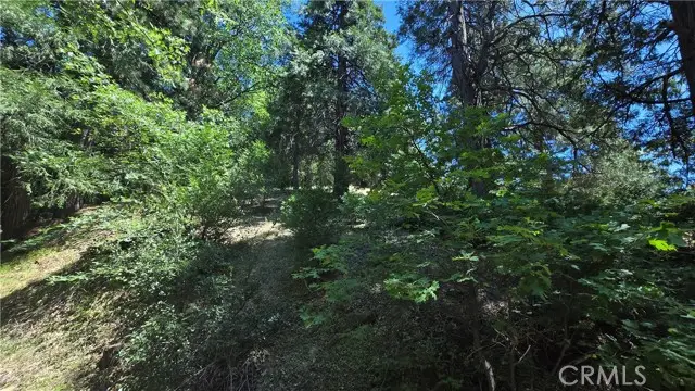 22494 Mojave River Road, Cedarpines Park, CA 92322 - Image #2