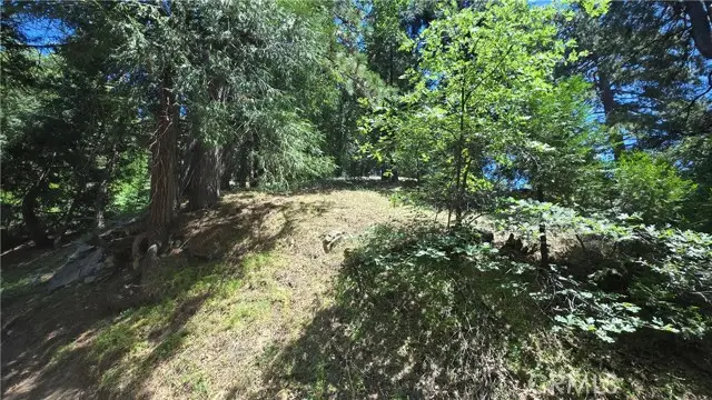 22494 Mojave River Road, Cedarpines Park, CA 92322 - Image #3