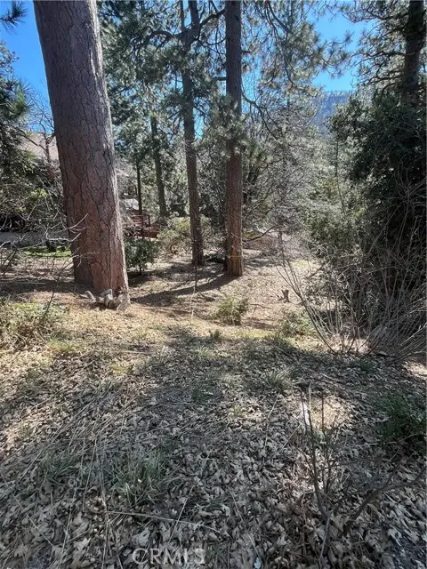 0 Robin Oak Drive, Angelus Oaks, CA 92305 - Image #2