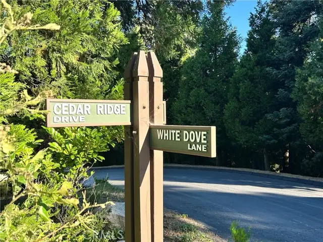 28980 White Dove Lane, Lake Arrowhead, CA 92352 - Image #3