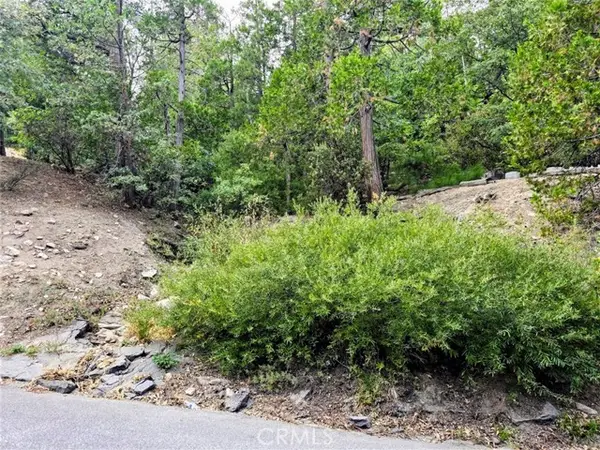 0 Zurich Drive, Lake Arrowhead, CA 92352