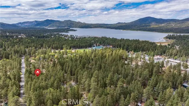 41438 Oak Street, Big Bear Lake, CA 92315 - #2