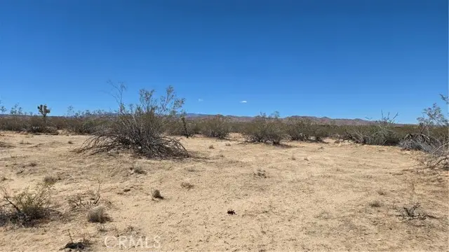 4102 Pine (jackrabbit) Lane, Landers, CA 92285 - Image #1