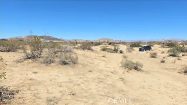 4102 Pine (jackrabbit) Lane, Landers, CA 92285 - Image #2